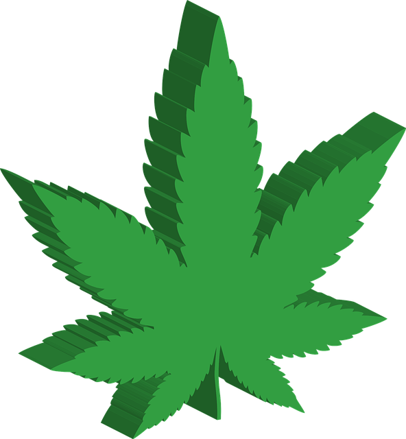 3D Cannabis Leaf